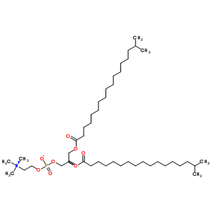 1,2-IsostearoylphosphatidylcholineStructure,58045-79-7Structure 1,2-Isostearoylphosphatidylcholine Structure,58045-79-7Structure