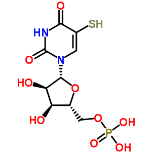 5-Mercaptouridylic acidStructure,58380-75-9Structure 5-Mercaptouridylic acid Structure,58380-75-9Structure