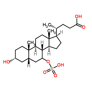 (3Alpha,5beta,7alpha,8xi)-3,24-dihydroxy-24-oxocholan-7-yl sulfateStructure,59132-31-9Structure (3Alpha,5beta,7alpha,8xi)-3,24-dihydroxy-24-oxocholan-7-yl sulfate Structure,59132-31-9Structure