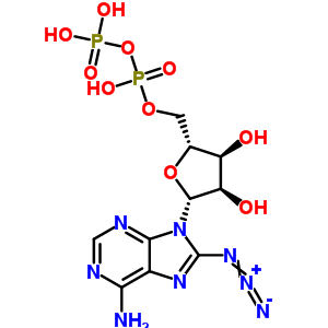8-Azidoadenosine diphosphateStructure,59432-65-4Structure 8-Azidoadenosine diphosphate Structure,59432-65-4Structure