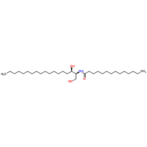C14 dihydroceramideStructure,61389-70-6Structure C14 dihydroceramide Structure,61389-70-6Structure