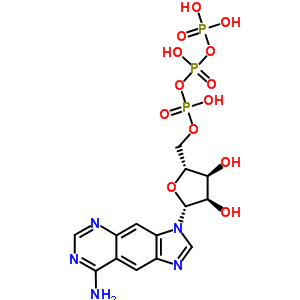 Benzo-adenosine triphosphateStructure,61925-58-4Structure Benzo-adenosine triphosphate Structure,61925-58-4Structure