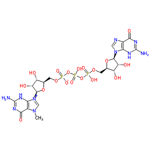 7-Methyl-diguanosine triphosphateStructure,62828-64-2Structure 7-Methyl-diguanosine triphosphate Structure,62828-64-2Structure