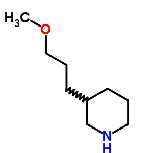 3-(3-Methoxypropyl)piperidineStructure,868067-67-8Structure 3-(3-Methoxypropyl)piperidine Structure,868067-67-8Structure